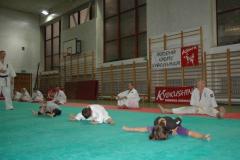 LAK 2010 _7_