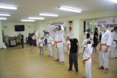 Letnia Akademia Karate  2016 Treningi w sali