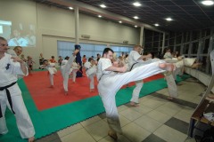 zak_DSC_0074