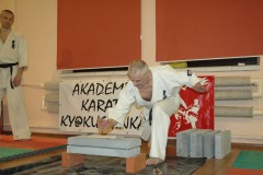 pokaz_DSC_0084