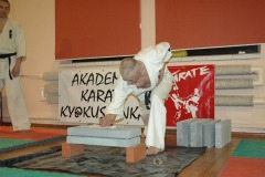 pokaz_DSC_0085