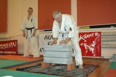pokaz_DSC_0087