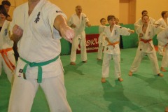 trening_DSC_0040