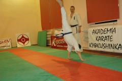 trening_DSC_0060