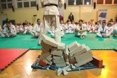 terminatus _27_