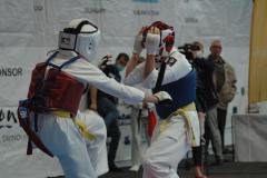 terminatus _23_